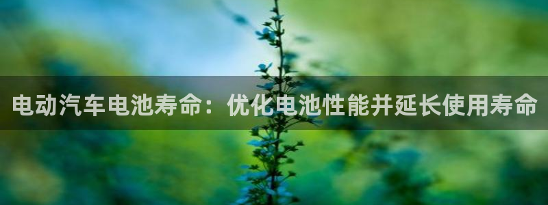 优发国际官网是多少号码