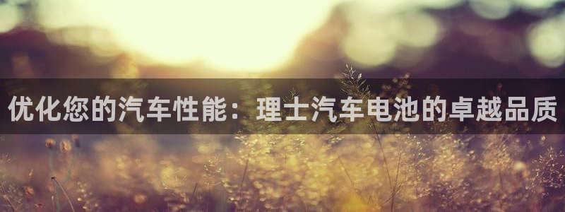 优发国际游戏17