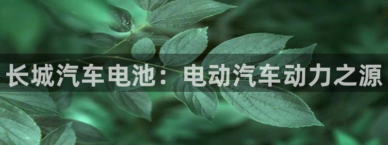 优发国际登陆