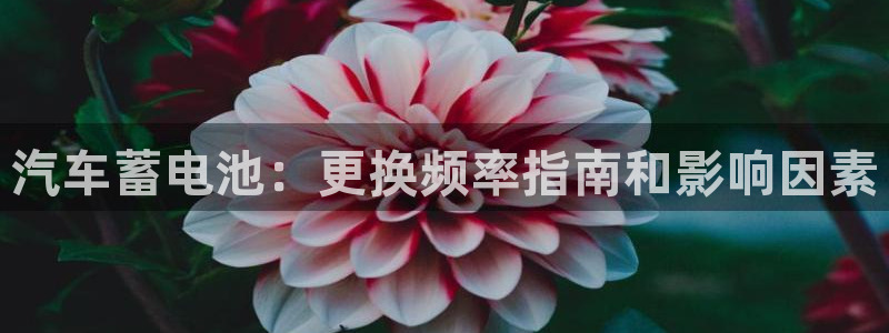 优发国际手机版下载官网