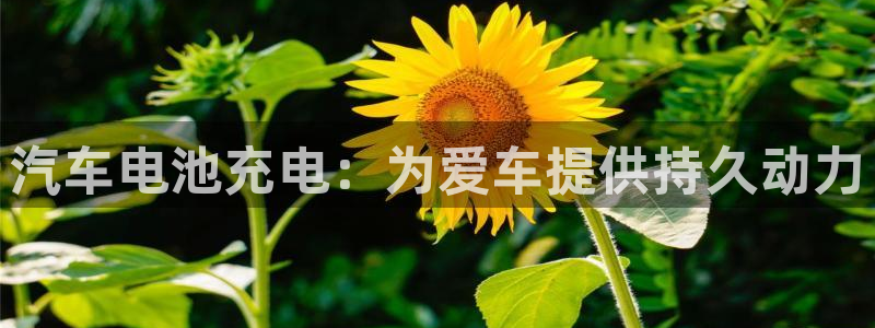 优发国际线上娱官网