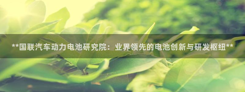 优发国际官方网手机版下载安卓