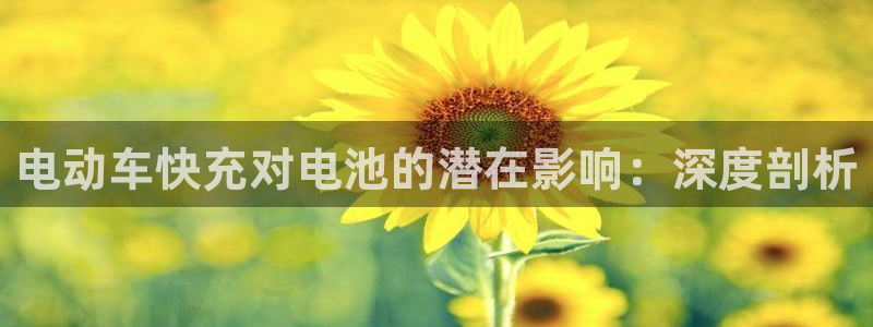 优发国际平台手机版下载