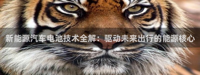 优发国际手机app下载安装官网