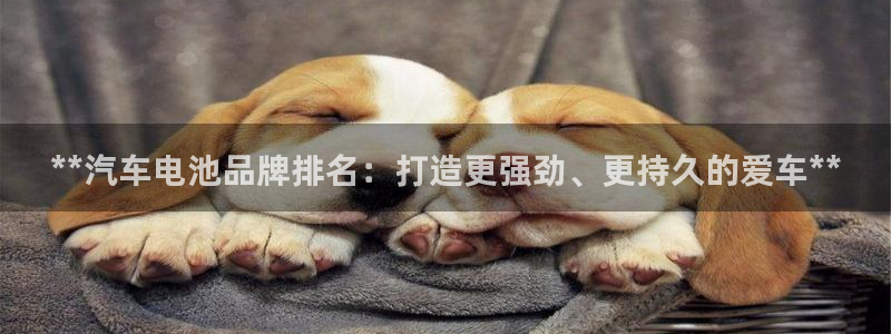 优发国际