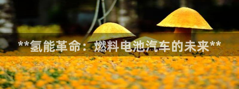 优发国际手机客户端app