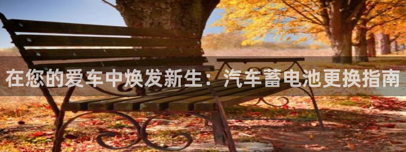 优发国际官方下载app