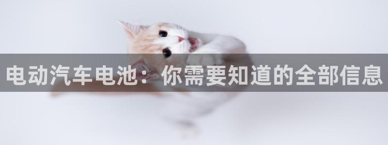 优发娱乐pt官网客户端