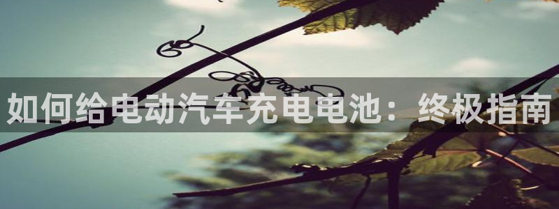 优发国际官网