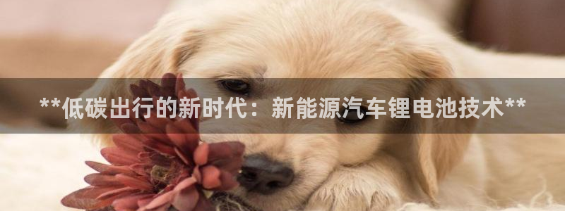 优发国际是合法的吗