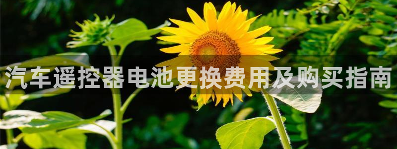 优发国际下载
