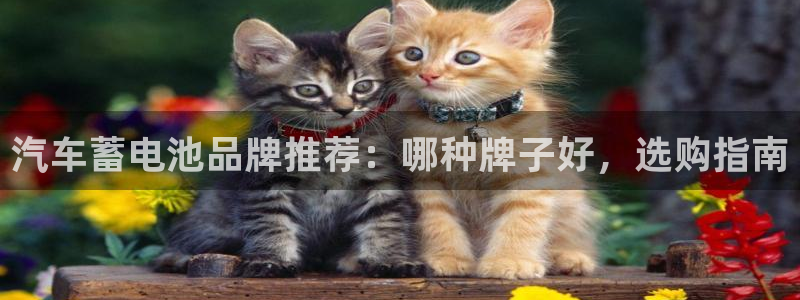 优发国际平台u8是什么
