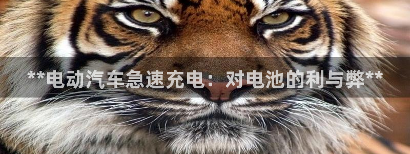 优发国际app