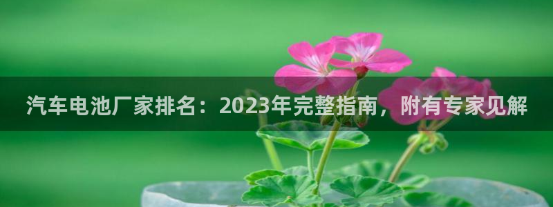 优发国际官网下载