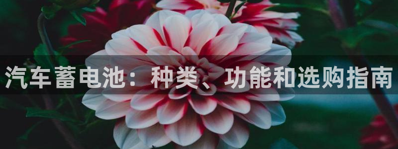 优发国际游戏官方网站入口