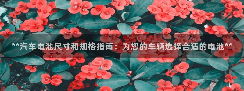 优发国际最新网站下载