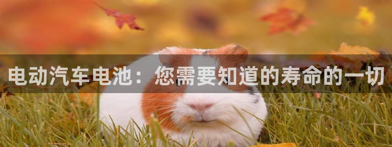 优发国际手机客户端下载安装手机版
