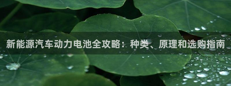 优发国际顶级