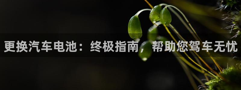 优发国际网官网17w80是什么