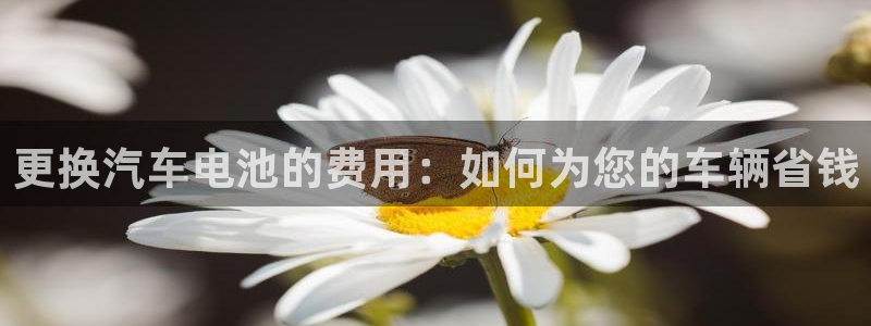 优发国际这个平台怎么样可靠吗