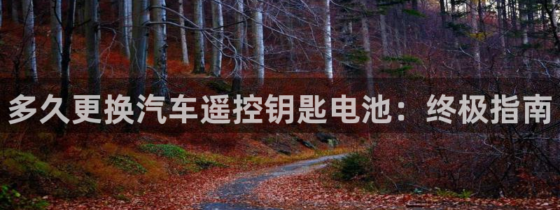 优发国际的网站是
