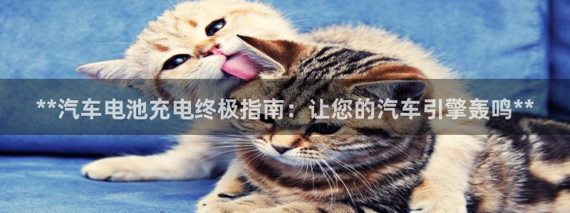 优发国际官方网手机版app