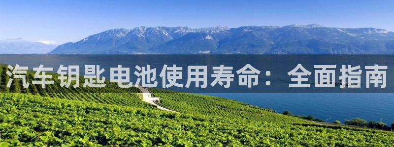 优发国际是大平台吗是真的吗
