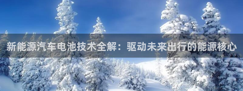 优发国际vip网址：新能源汽车电池技术全解：驱动未来出行的能源核心