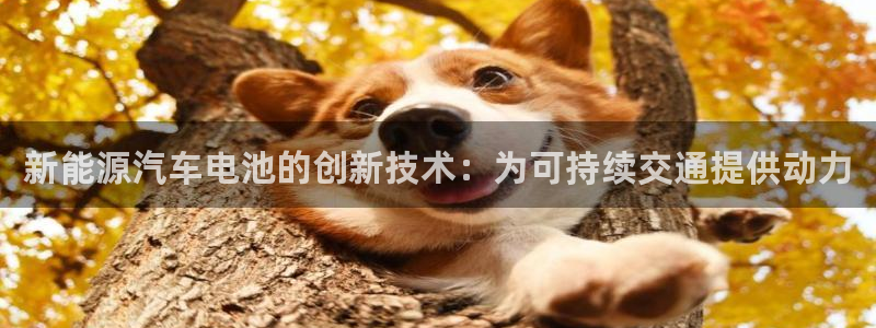 优发国际游戏17