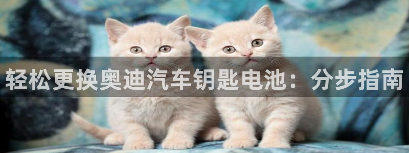 优发国际平台