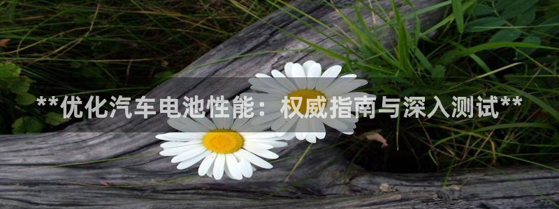 优发国际官方网手机版app：**优化汽车电池性能：权威指南与深入测试**