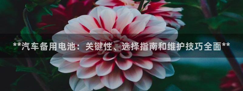 优发国际平台手机版下载