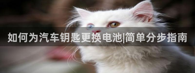 优发国际app官网下载安装：如何为汽车钥匙更换电池|简单分步指南