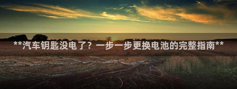 优发国际官网下载：**汽车钥匙没电了？一步一步更换电池的完整指南**