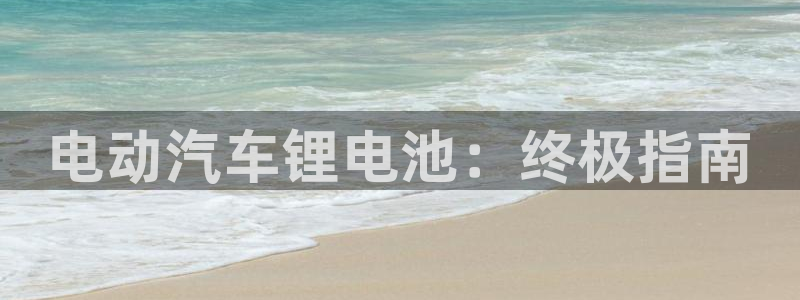 优发国际网官网17w80是什么：电动汽车锂电池：终极指南