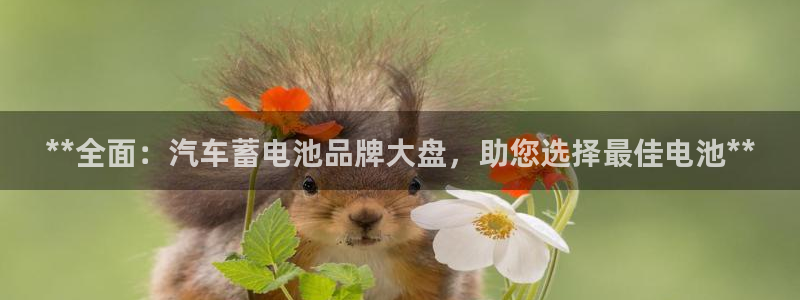 优发国际官方网手机版下载安卓