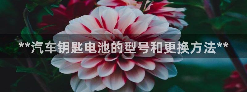 优发国际平台u8怎么样可靠吗：**汽车钥匙电池的型号和更换方法**
