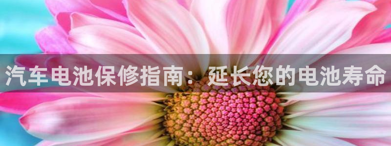 优发国际娱乐官网多少?：汽车电池保修指南：延长您的电池寿命