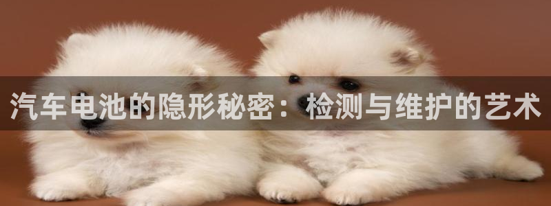 优发国际是什么：汽车电池的隐形秘密：检测与维护的艺术