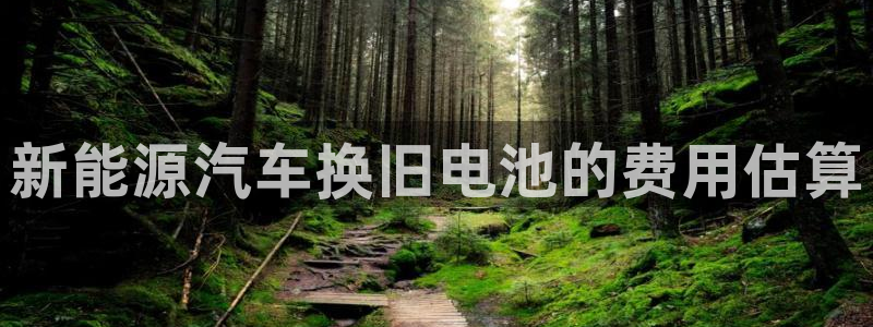 优发国际客服联系方式电话：新能源汽车换旧电池的费用估算