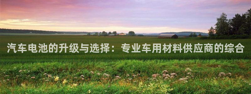 优发国际官方网平台登录：汽车电池的升级与选择：专业车用材料供应商的综合