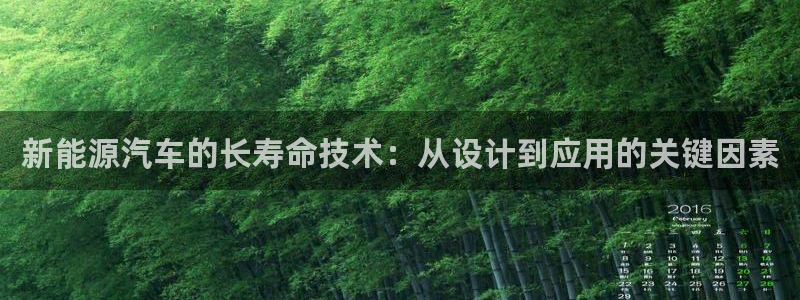 优发国际官网手机版：新能源汽车的长寿命技术：从设计到应用的关键因素