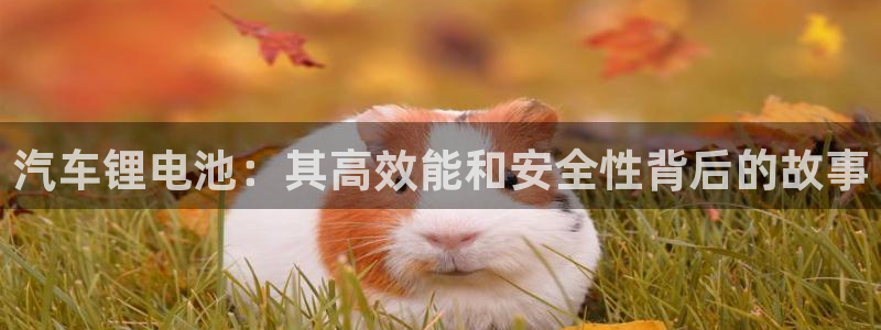 优发国际这个平台怎么样：汽车锂电池：其高效能和安全性背后的故事