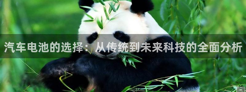 优发国际官网下载安装：汽车电池的选择：从传统到未来科技的全面分析