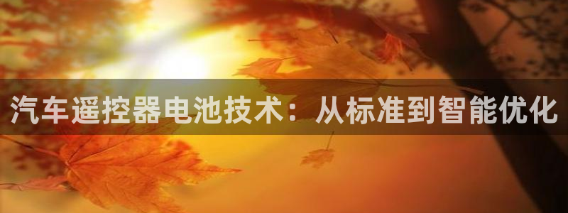 优发国际官方下载app：汽车遥控器电池技术：从标准到智能优化