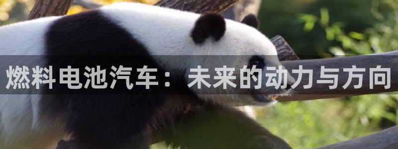 优发国际官方网手机版下载安卓