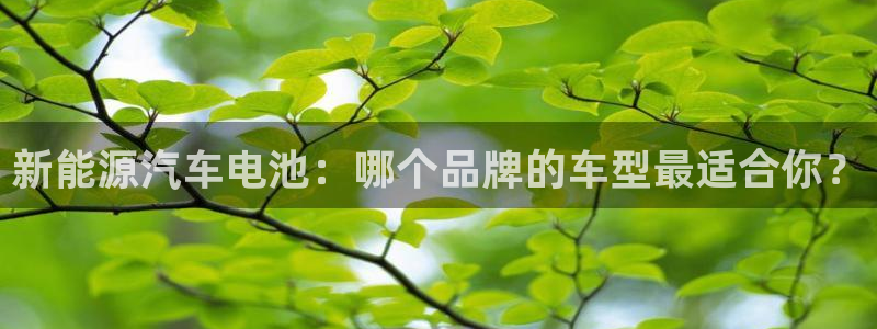 优发国际客服联系方式