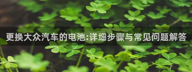 优发国际官网平台：更换大众汽车的电池:详细步骤与常见问题解答