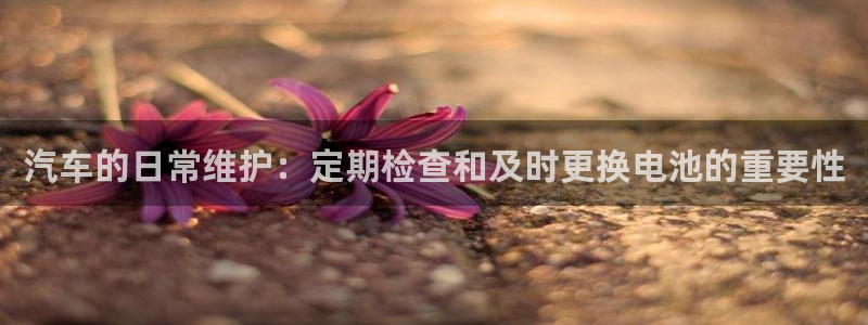 优发娱乐pc版官网：汽车的日常维护：定期检查和及时更换电池的重要性