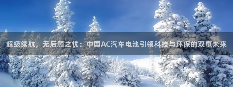 优发国际是大平台吗还是小平